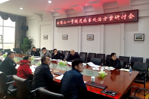 成德南公司组织召开云顶山一号隧道病害处治方案研讨会1-510.jpg