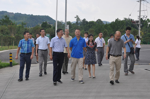 5109.5川高公司监事会主席何刚一行调研成德南公司整体运营情况2_副本.jpg