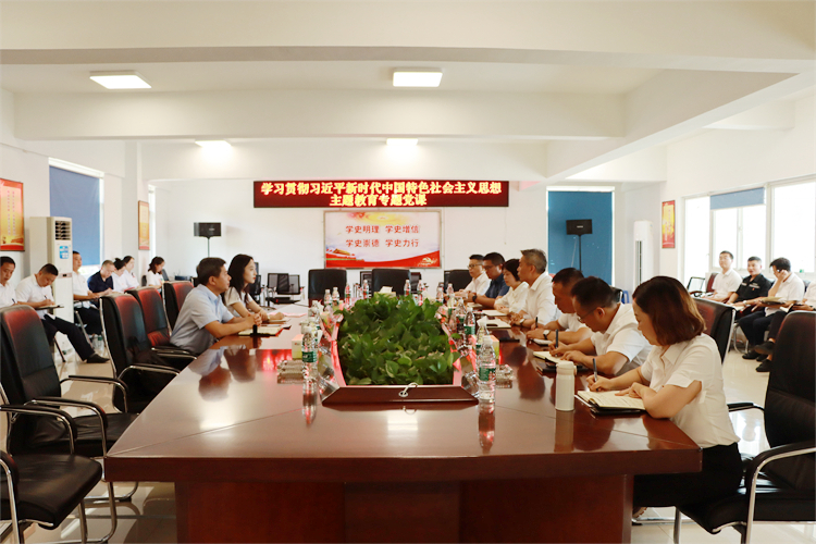 7.18+绵阳管理处+成德南公司党委副书记、董事、总经理杨勇讲授主题教育专题党课(1).jpg