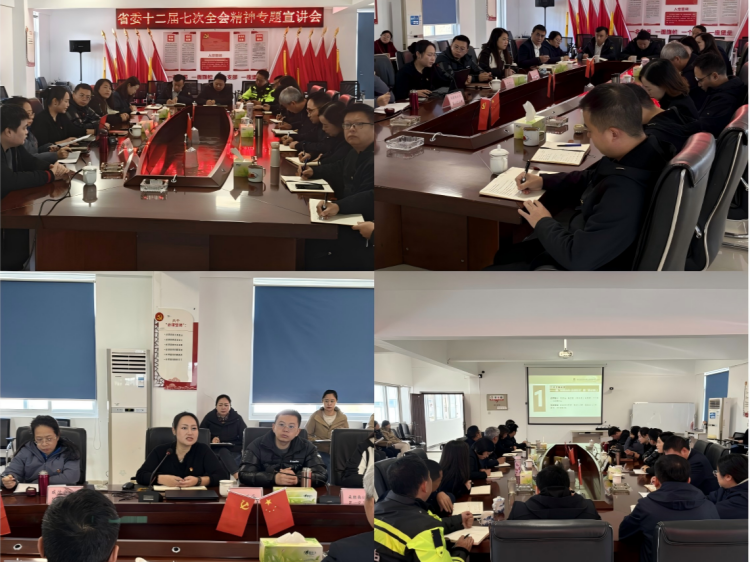 952+11.20+绵阳管理处+公司副总经理周顺平深入绵阳管理处党支部宣贯省委十二届七次全会精神.png