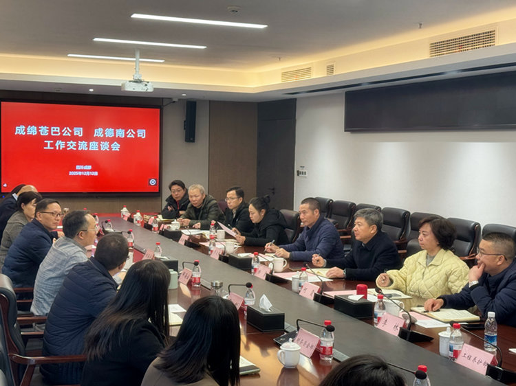 12.12+人力资源部+成绵苍巴公司与成德南公司工作座谈会.JPG
