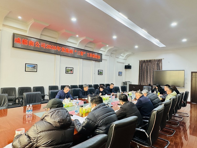 成德南公司召开2026年党组织“三督”工作推进会