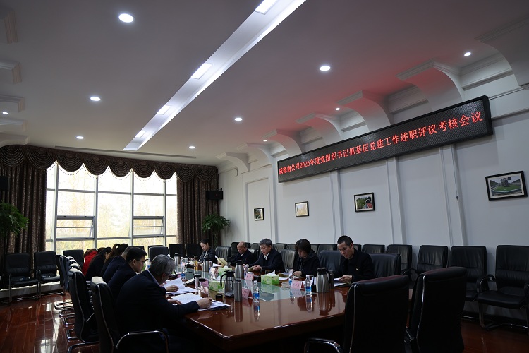 成德南公司召开2025年度党组织书记抓基层党建工作述职评议考核会