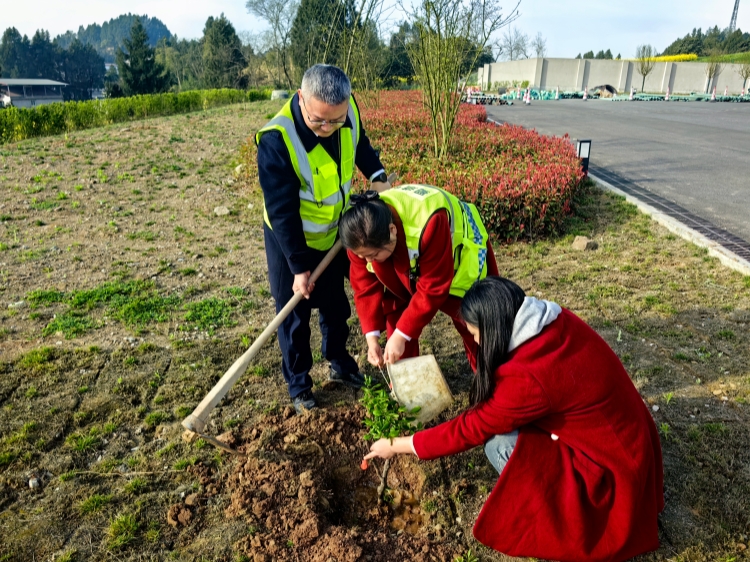 3.11+鸣龙站+鸣龙收费站开展“春植新绿·情系高速”主题植树活动1_副本.jpg