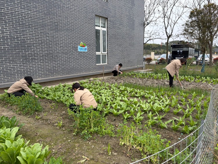 4.1+永明+永明收费站开展站区菜园春耕活动.jpg